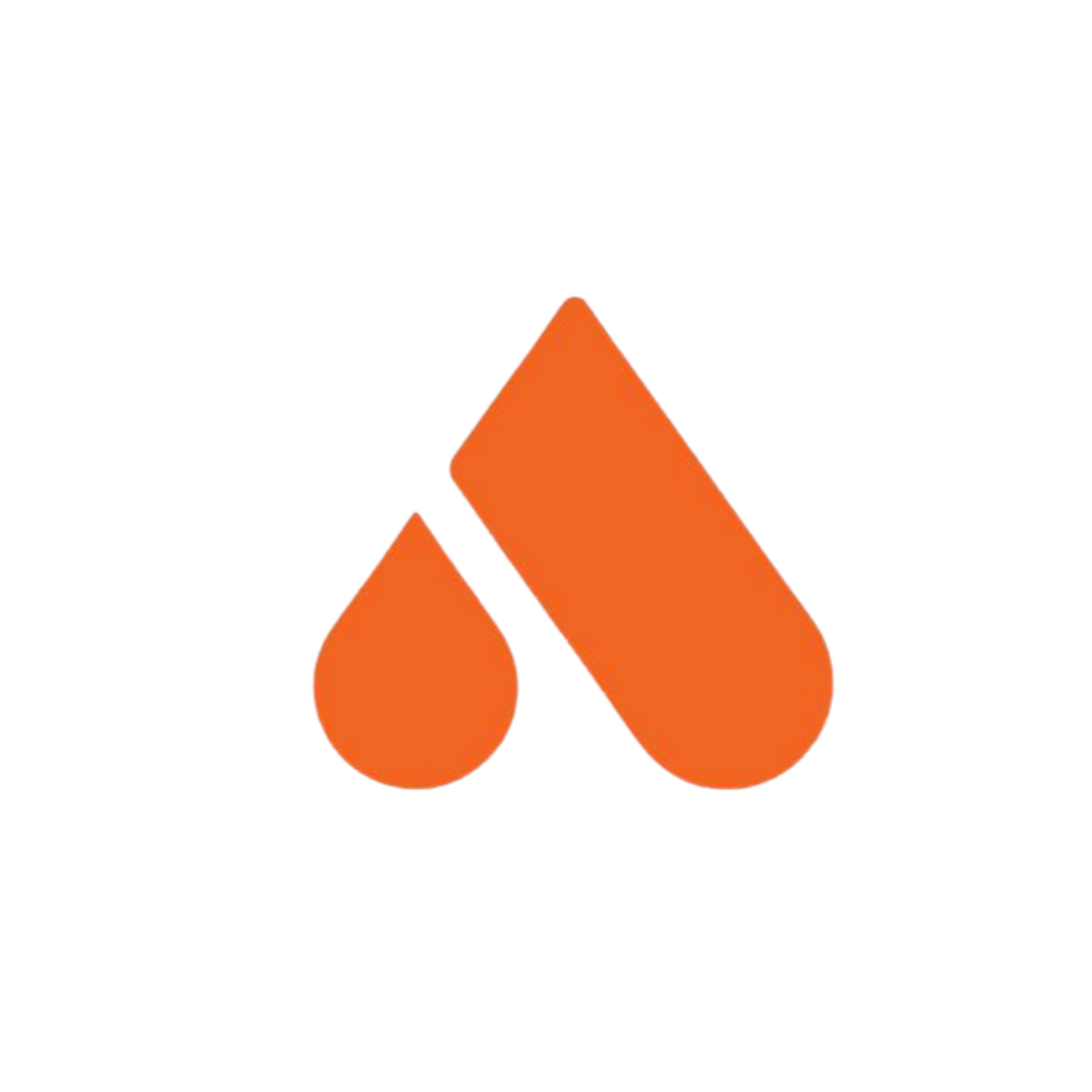 Website Development Case Study